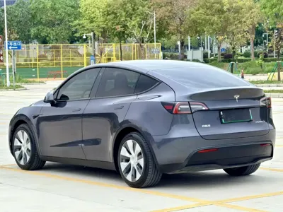 Tesla Model Y 2021, 125000 км, за 136800 CNY - фото 8