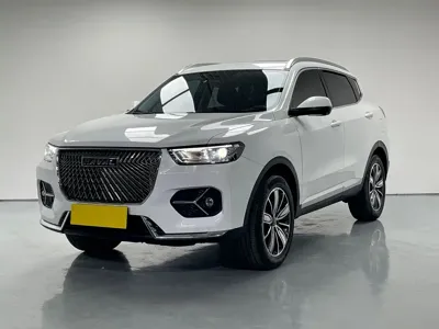 Haval H6 · 2021 год