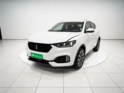 WEY Wey VV6 · 2019 год