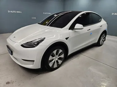 Tesla Model Y 2021, 22188 км, за 33800000 KRW