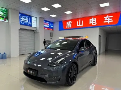 Tesla Model Y · 2022 год