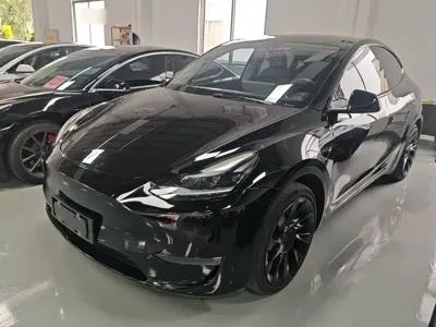 Tesla Model Y · 2021 год