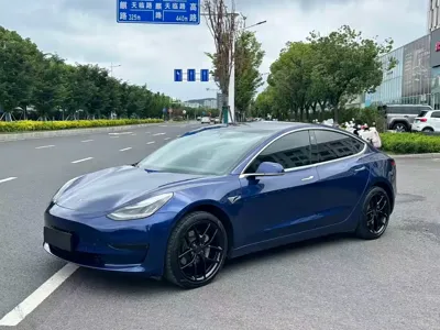 Tesla Model 3 · 2020 год