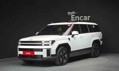 Hyundai Santafe · 2024 год