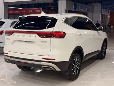 Haval H6 2022, 51000 км, за 73800 CNY - фото 6