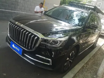 Hongqi Hongqi HS7 · 2022 год
