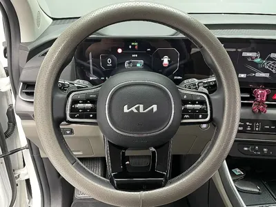 Kia Canival 2025, 37329 км, за 42500000 KRW - фото 11