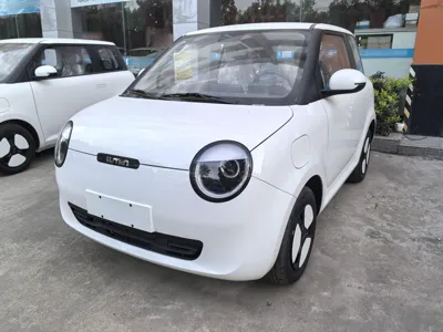 Changan Lumin · 2024 год