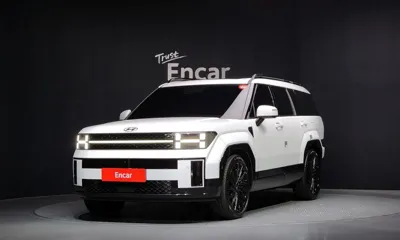 Hyundai Santafe · 2024 год