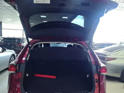 Lexus NX 2018, 102700 км, за 109800 CNY - фото 19