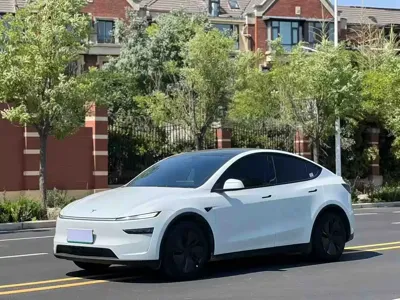 Tesla Model Y · 2025 год