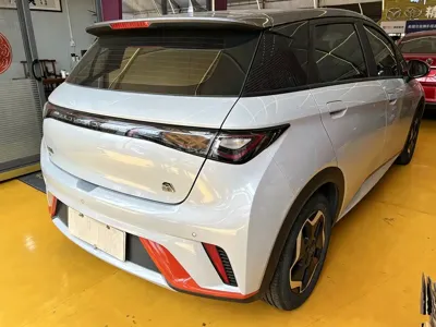 BYD Dolphin 2022, 90000 км, за 53800 CNY - фото 4