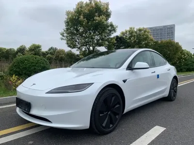 Tesla Model 3 · 2026 год