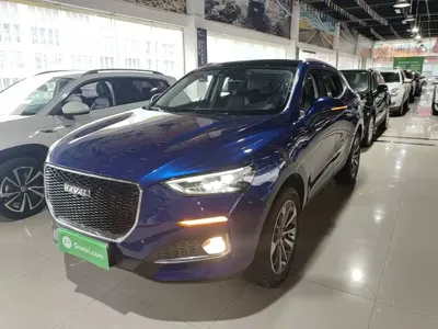 Haval F5 · 2020 год