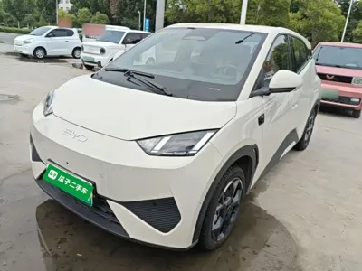 BYD Seagull · 2025 год