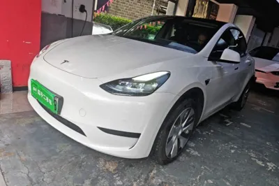 Tesla Model Y · 2022 год