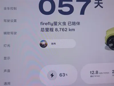 firefly萤火虫 firefly萤火虫 2025, 8800 км, за 99500 CNY - фото 14