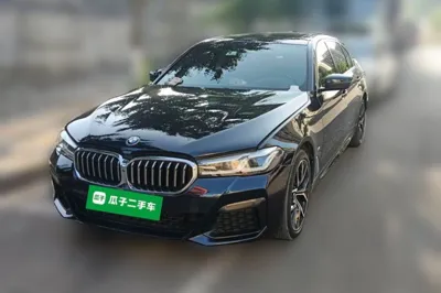 BMW 5 Series · 2021 год