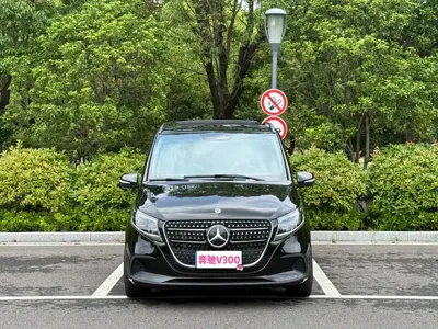 Mercedes-Benz V-Class · 2025 год