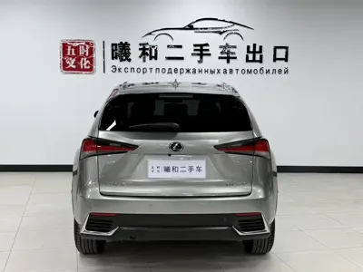 Lexus NX 2019, 68000 км, за 159900 CNY - фото 6