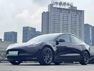Tesla Model 3 · 2022 год