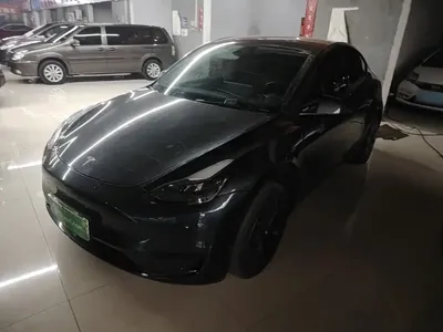 Tesla Model Y · 2024 год