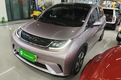 BYD Dolphin · 2024 год