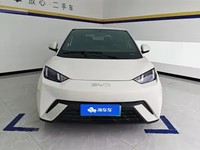 BYD Seagull 2024, 66900 км, за 48300 CNY - фото 2