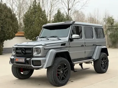 Mercedes-Benz G-Class · 2016 год