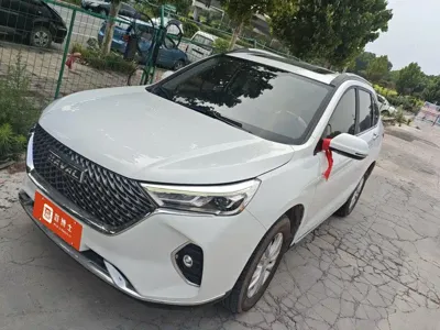 Haval M6 · 2022 год