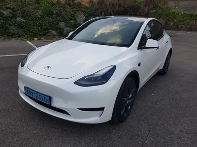 Tesla Model Y · 2025 год