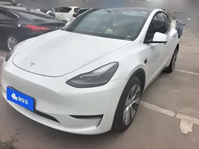 Tesla Model Y · 2021 год