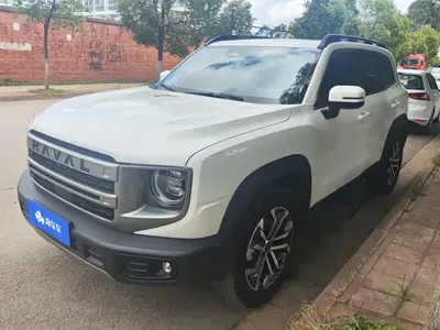 Haval Big Dog · 2024 год