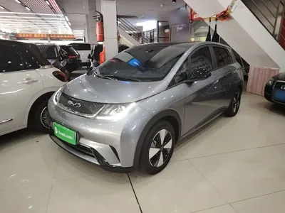 BYD Dolphin · 2024 год