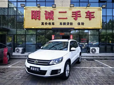 Volkswagen Tiguan · 2015 год