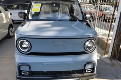 Geely Galaxy Panda 2025, 100 км, за 54553.7 CNY