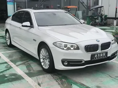 BMW 5 Series New Energy · 2016 год