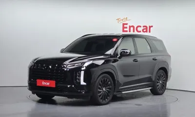 Hyundai Palisade · 2024 год