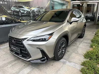 Lexus NX · 2023 год