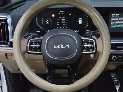 Kia Sorento 2024, 67069 км, за 34500000 KRW - фото 9