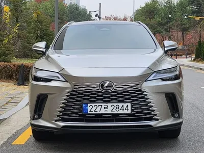 Lexus RX · 2024 год