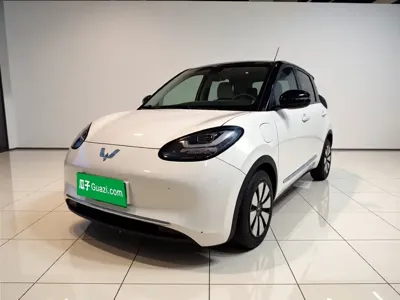 Wuling Bingo · 2023 год