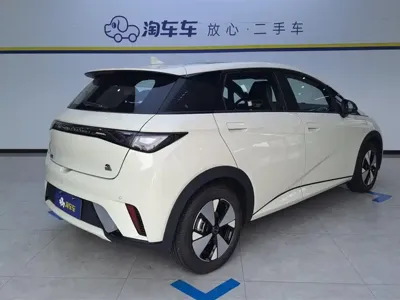 BYD Dolphin 2023, 1800 км, за 66800 CNY