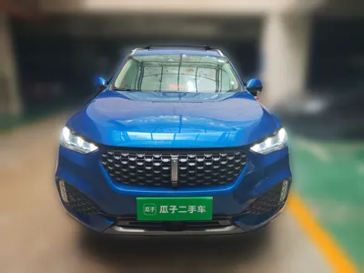 WEY VV6 2020, 31300 км, за 57510.82 CNY