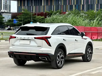 Haval Shenshou 2022, 120000 км, за 49800 CNY - фото 4