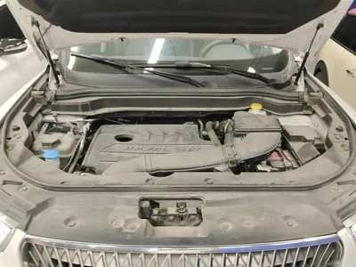 Haval H6 2021, 43800 км, за 55599 CNY - фото 10