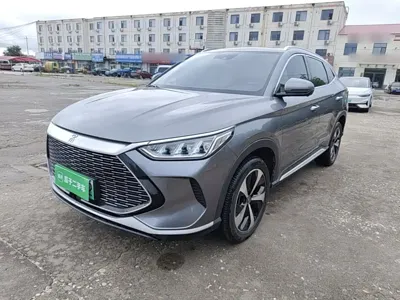 BYD PLUS New Energy · 2022 год