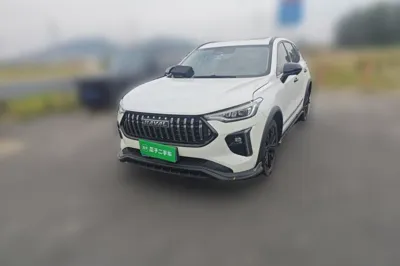 Haval LHERY · 2021 год