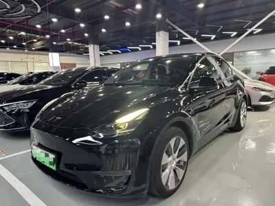 Tesla Model Y · 2021 год