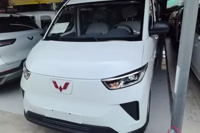 Wuling Yangguang · 2026 год